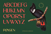 Roygen Elegant Sans Serif Display, a Sans Serif Font by timelesstype.co (Thumbnail 10 of 20)