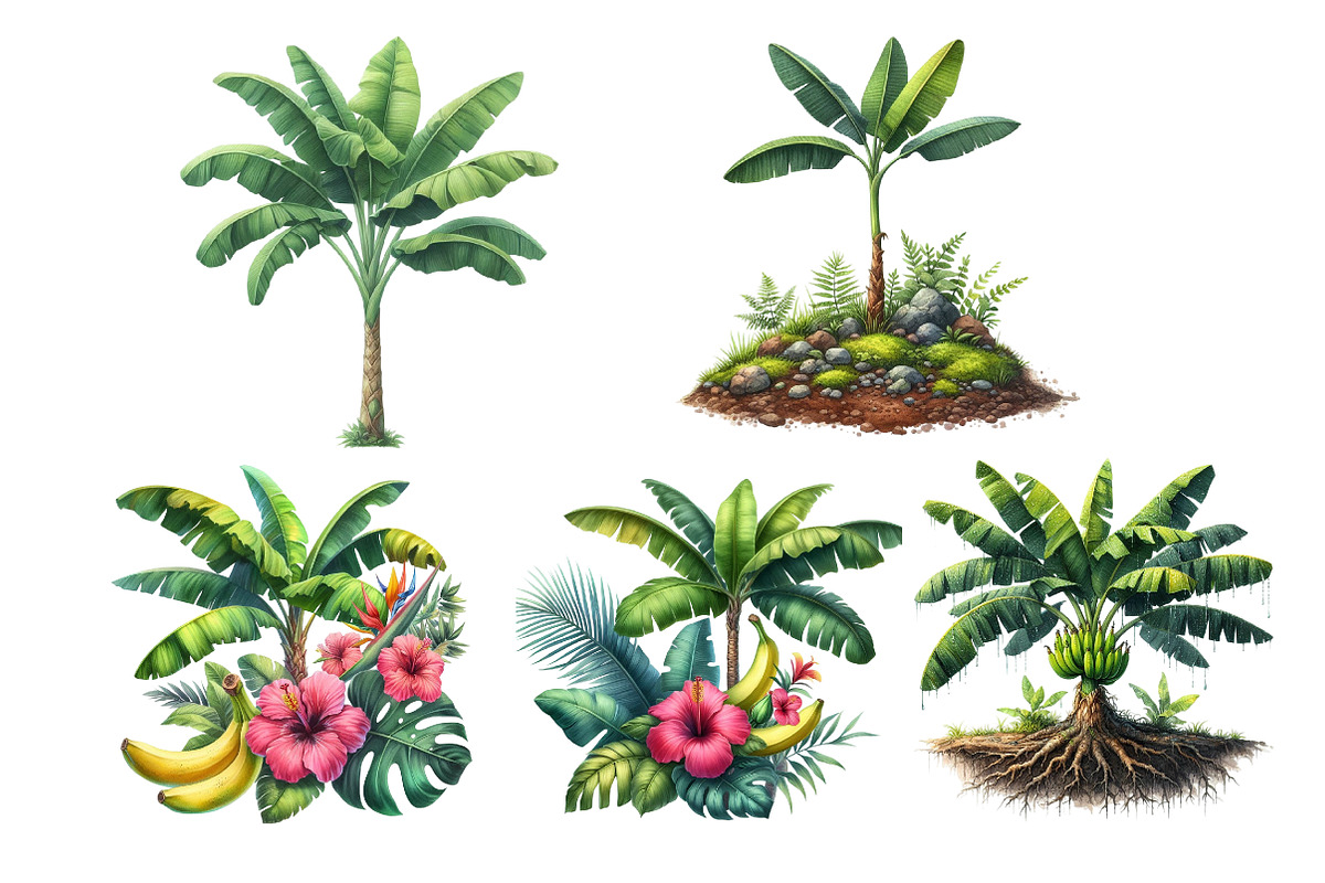 Banana Tree Free Clipart, an Illustration by DreamArtGraphic (Photo 3 of 7)