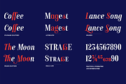 Isabel condensed, a Serif Font by Letritas (Thumbnail 3 of 15)