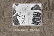 Botanical Imprint — Organic Papers, a Background Graphic by DigARTbyHavroshka (Thumbnail 4 of 15)