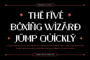 Adcogs - Serif Display Font, a Serif Font by trabaskriya (Thumbnail 3 of 8)