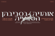 TA Solivare Variable, a Sans Serif Font by TAFT Foundry (Thumbnail 2 of 15)