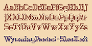 WyomingPastad, a Slab Serif Font by Ingrimayne Type (Thumbnail 5 of 5)