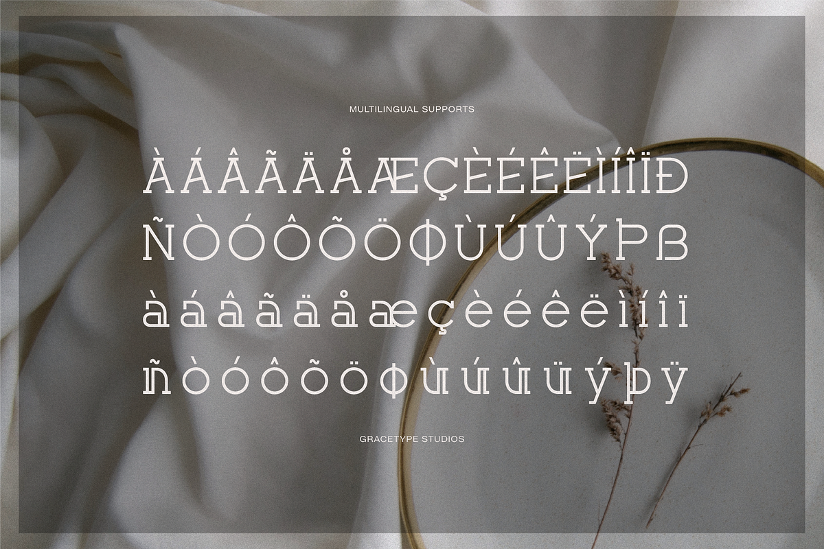 Corina Elegant | Modern Slab Serif, a Slab Serif Font by gracetype_studio (Photo 11 of 12)