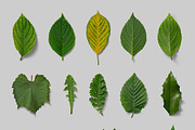 Nature Scene Generator, a Product Mockup by h3design (Thumbnail 11 of 19)