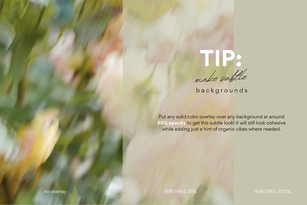 Delicate Blurry Floral Backgrounds, a Background Graphic by eclosque (Photo 30 of 31)