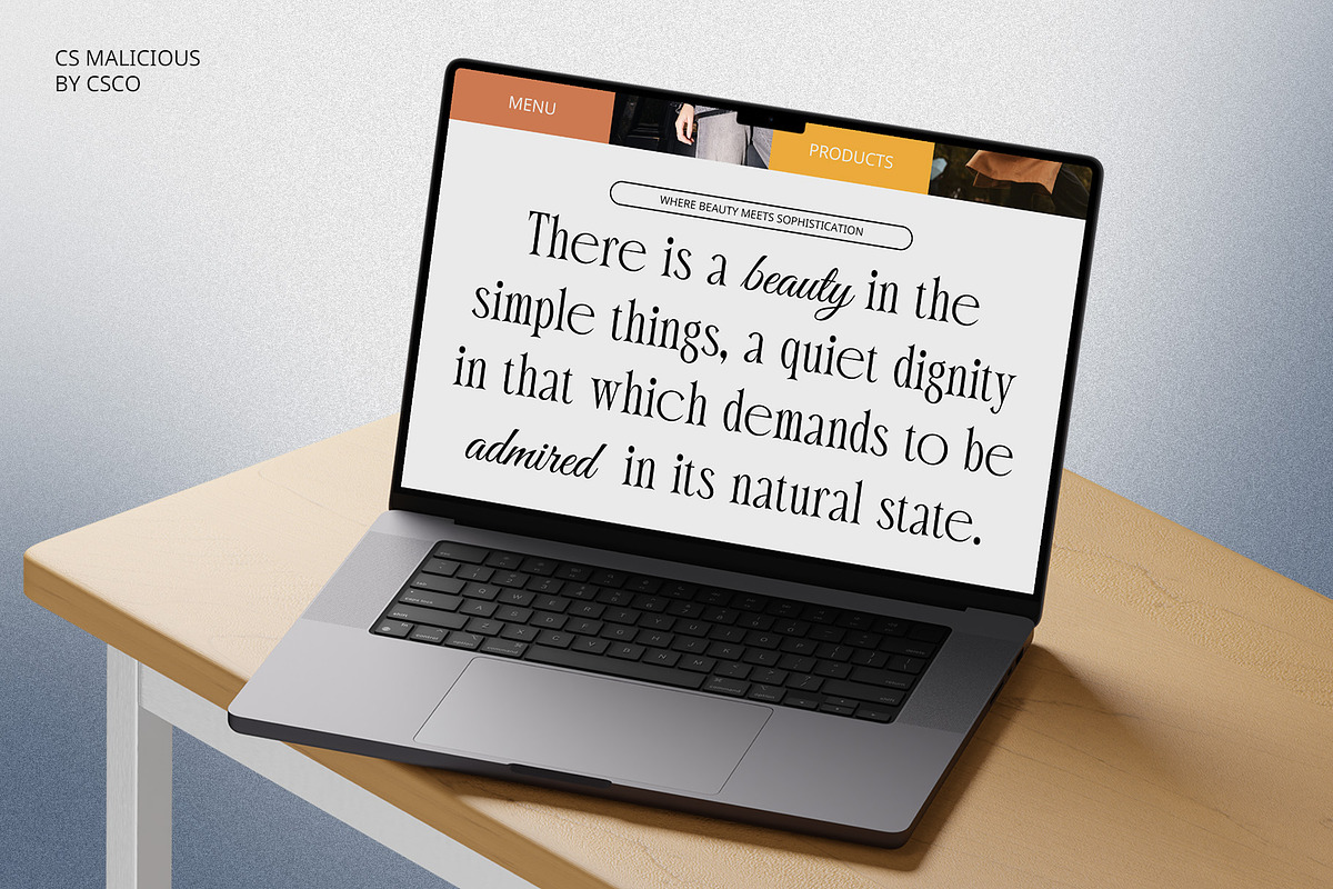 CS Malicious – Elegant Font, a Serif Font by Craft Supply Co. (Photo 2 of 8)