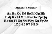 Goldtext - Versatile Bold Serif, a Serif Font by Attractype (Thumbnail 7 of 8)