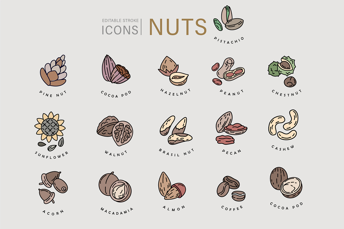 Nuts & seeds icons & logos, an Icon by Merfin (Photo 2 of 9)