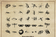 127 Procreate Insects stamps brushes, a Brush Add-On by Endete & Mazak brushes (Thumbnail 2 of 5)
