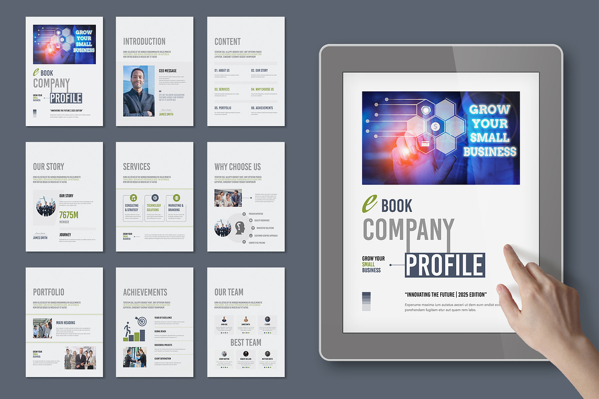Clean and Business Profile E Book