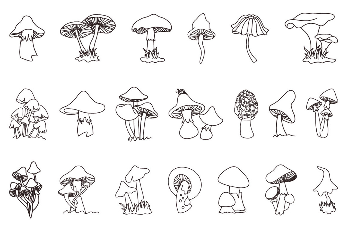 Magic Mushrooms, an Object Graphic by Pulpixel Design (Photo 5 of 7)