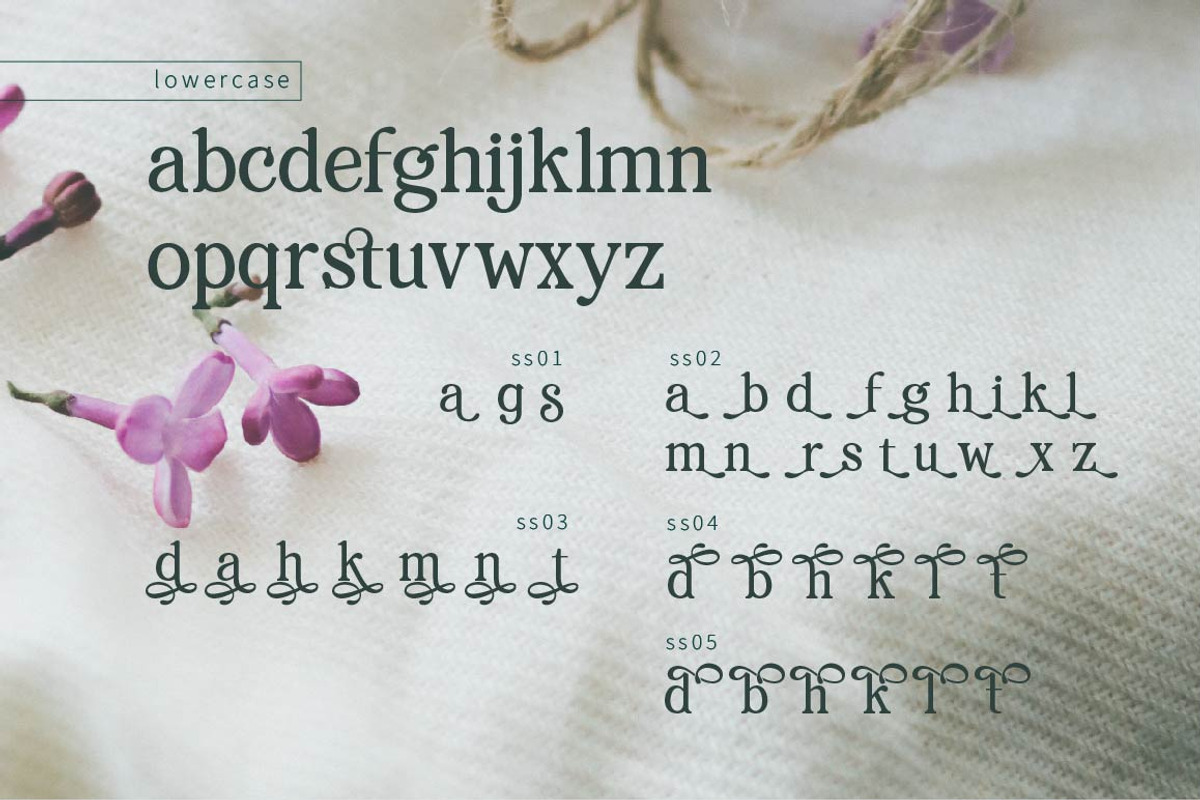 RENDA - Serif preview 7