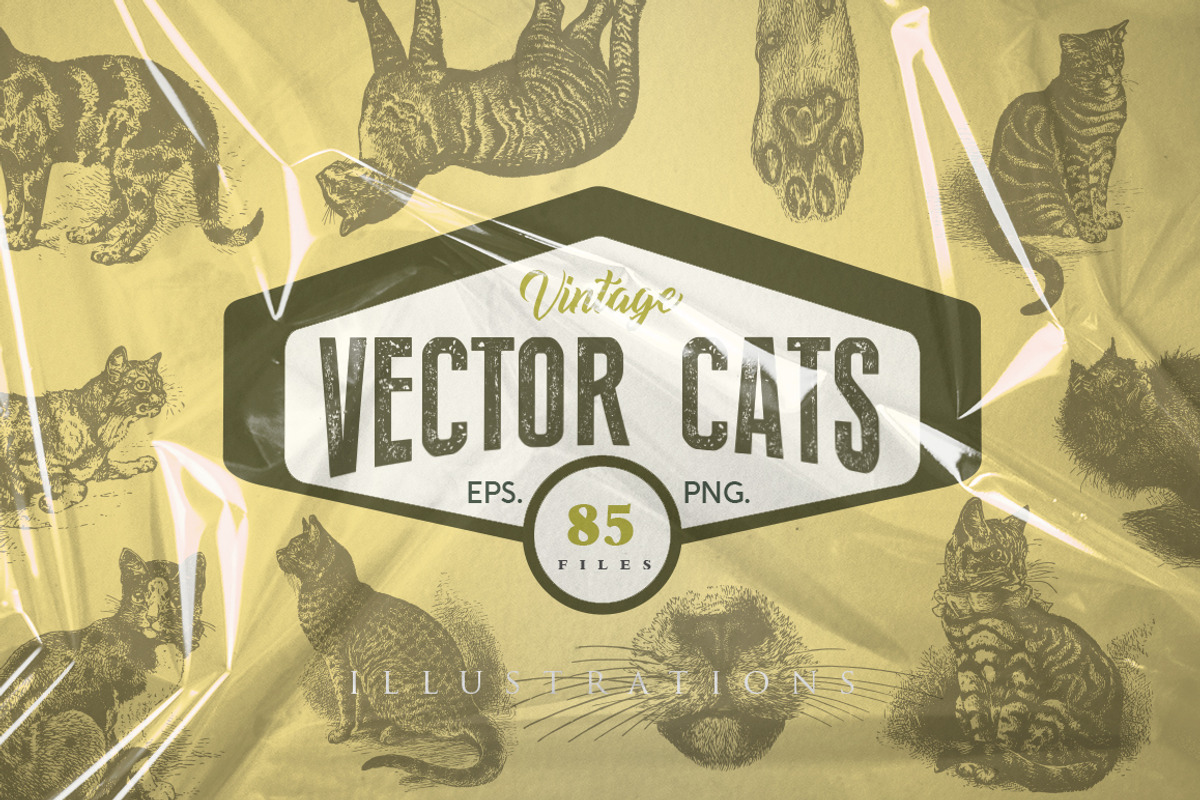 Cats Vector Set, an Illustration by Retro Machine (Photo 1 of 21)