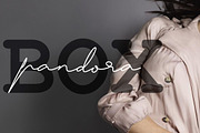 Daisy Signature font, a Script Font by alphadesign (Thumbnail 8 of 10)