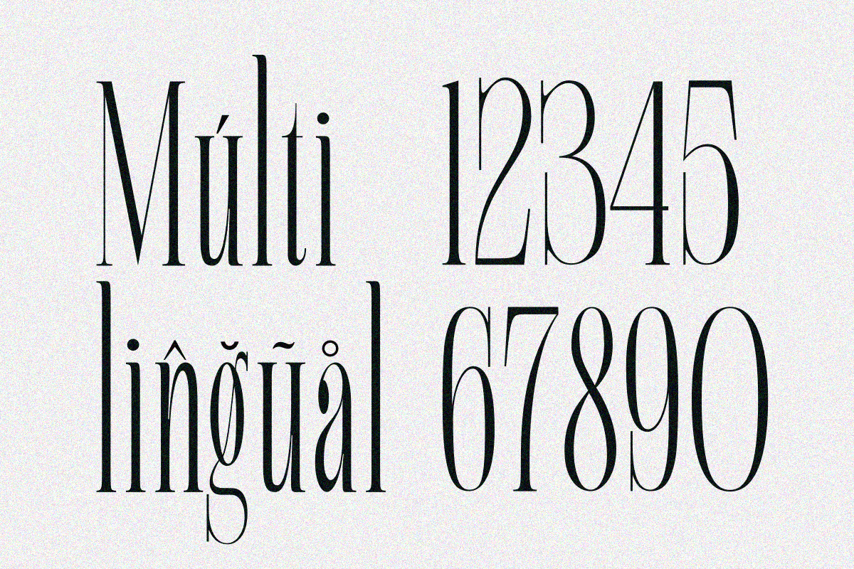 Alqeon, a Serif Font by zaaintype (Photo 9 of 9)