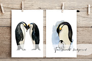 Watercolor Penguin Life Cycle Set, an Education Illustration by Tati Bordiu (Thumbnail 3 of 5)