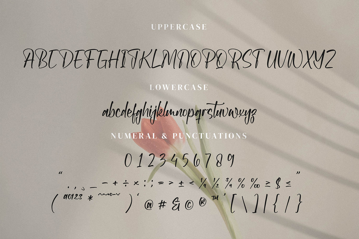 Aksarantti, a Script Font by Integritype Studio (Photo 9 of 15)