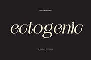 Ectogenic, a Serif Font by CreateBigSupply (Thumbnail 1 of 8)