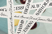 Mint + Magnolia Typeface, a Handwritten Font by Nicky Laatz (Thumbnail 2 of 23)