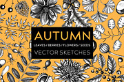 Autumn Leaves & Flowers. Fall Bundle, an Object Graphic by Yevheniia (Thumbnail 1 of 11)