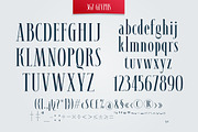 SYNOPSIS typeface, a Serif Font by Fontop (Thumbnail 3 of 11)