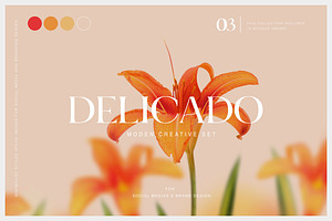 #3 Delicado. Branding & social media, a Social Media Template by StudioPhoto