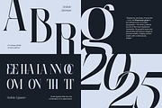 Aguilary Modern - Elegant Logo Font, a Serif Font by Nirmana Visual (Thumbnail 10 of 16)