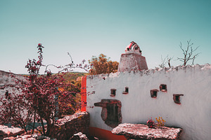 Rustic house with chimney and plants, an Architecture Photo by SkyNext