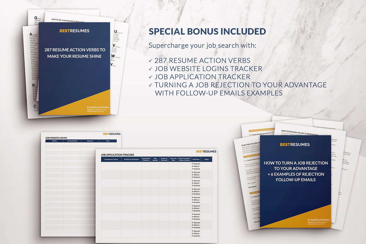Modern Executive Resume Template, a Resume Template by BestResumes.Co (Photo 6 of 9)