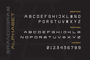Brandogram Monogram Typeface, a Slab Serif Font by Bogdan Casota (Thumbnail 9 of 22)