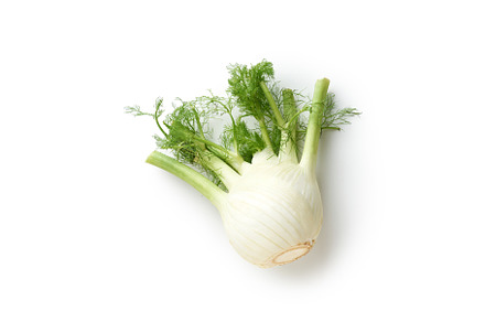 Fennel isolated top view, a Food & Drink Photo by Asya Nurullina