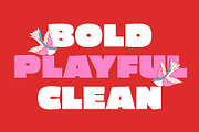 Delasyn, a Sans Serif Font by graphicook (Thumbnail 3 of 10)