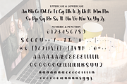 Party Online | Script Font, a Handwritten Font by Scratchones (Thumbnail 7 of 9)
