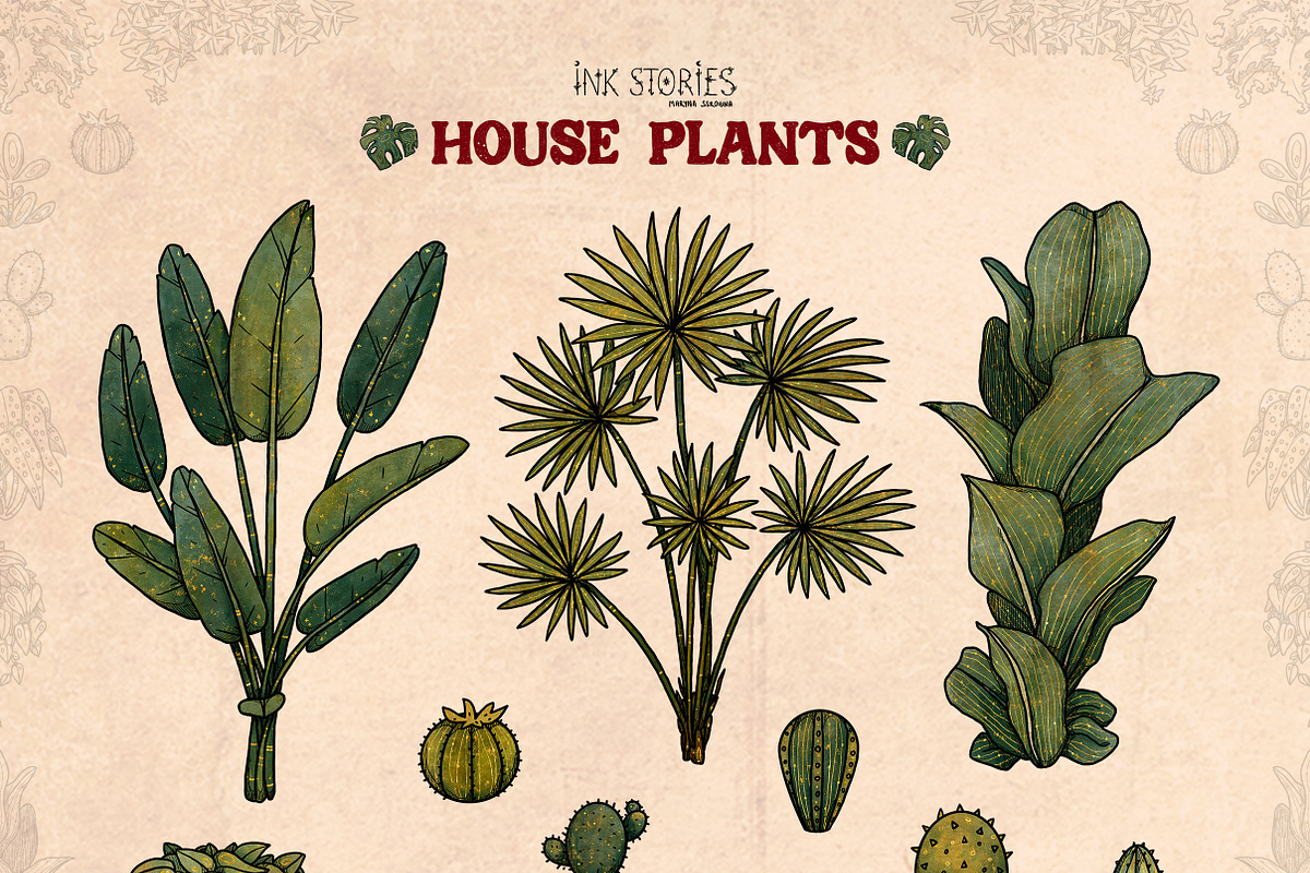 House Plants, an Object Illustration by Ink Stories (Photo 6 of 23)
