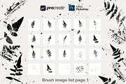 Fern leaves Procreate brush stamps, a Brush Add-On by FOXYdigitalart (Thumbnail 2 of 3)