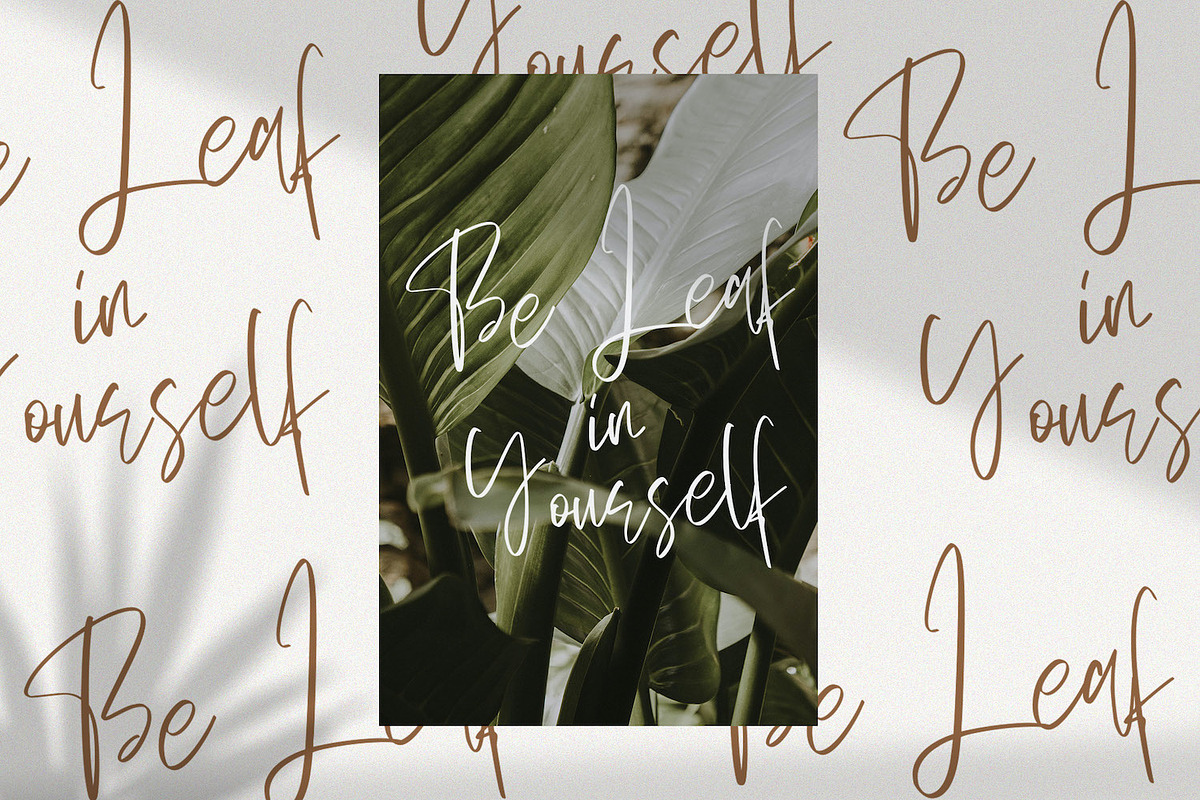 Sellviny Queen - Handwritten Font, a Script Font by StringLabs (Photo 3 of 10)