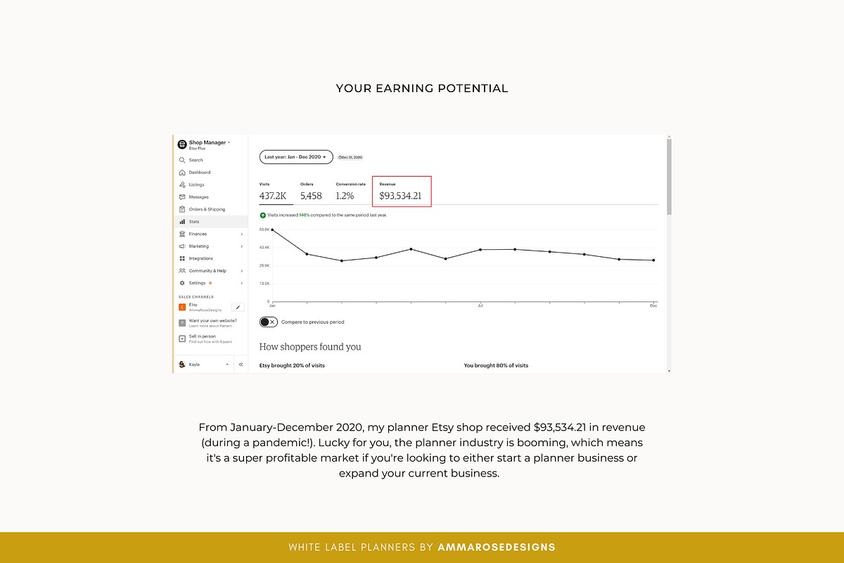 White Label Finance Planner, a Stationery Template by ammarosedesignsllc (Photo 8 of 10)