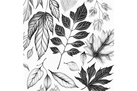 Forest tree leaves pencil sketch, an Illustration by Visual Generation