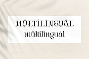 Rogain - Modern Serif, a Serif Font by LoneArmy (Thumbnail 12 of 12)