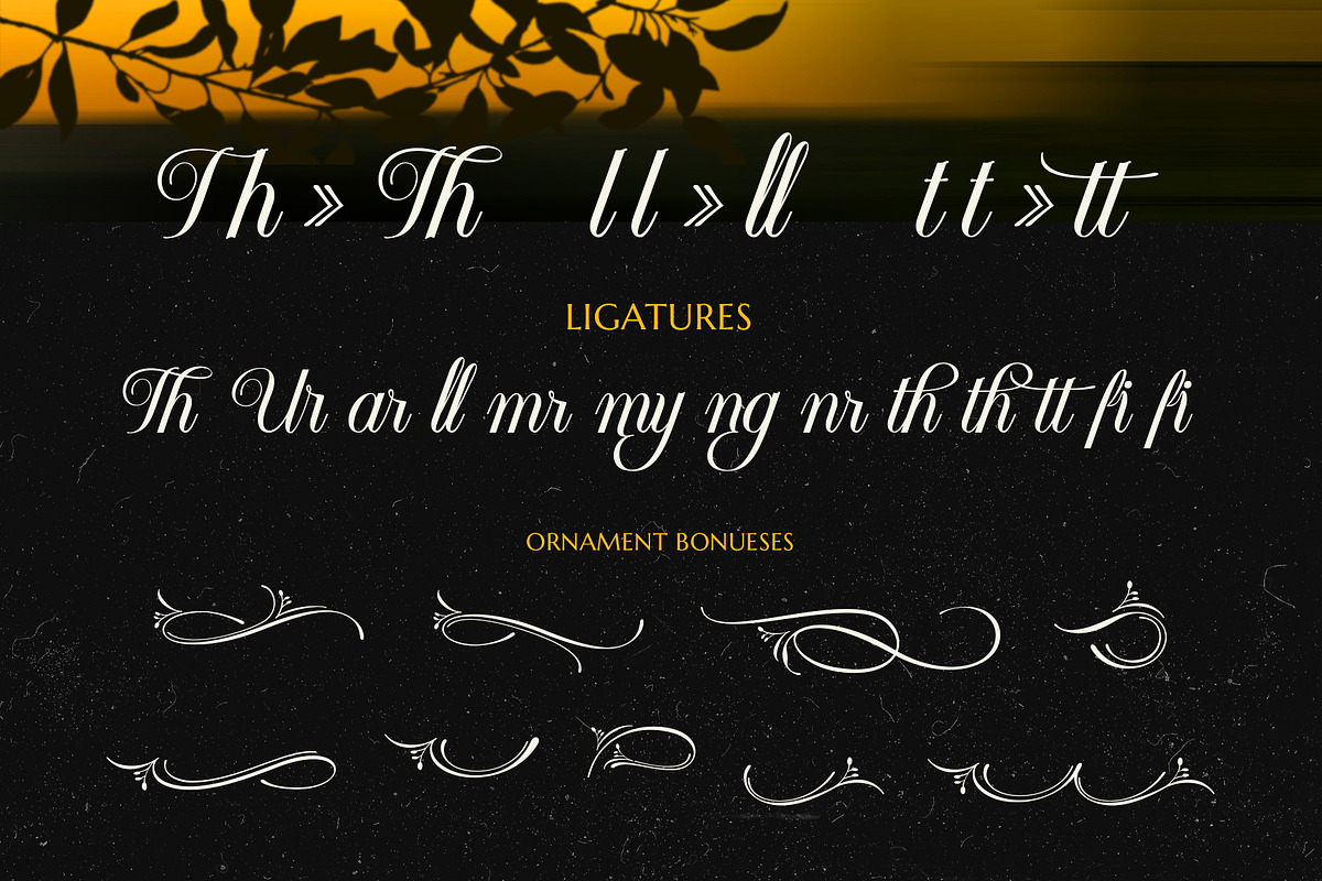 Billotea Typeface, a Script Font by alit design (Photo 17 of 20)