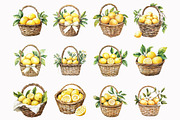 Watercolor Lemons Basket Clipart, an Illustration by Design Market (Thumbnail 2 of 4)