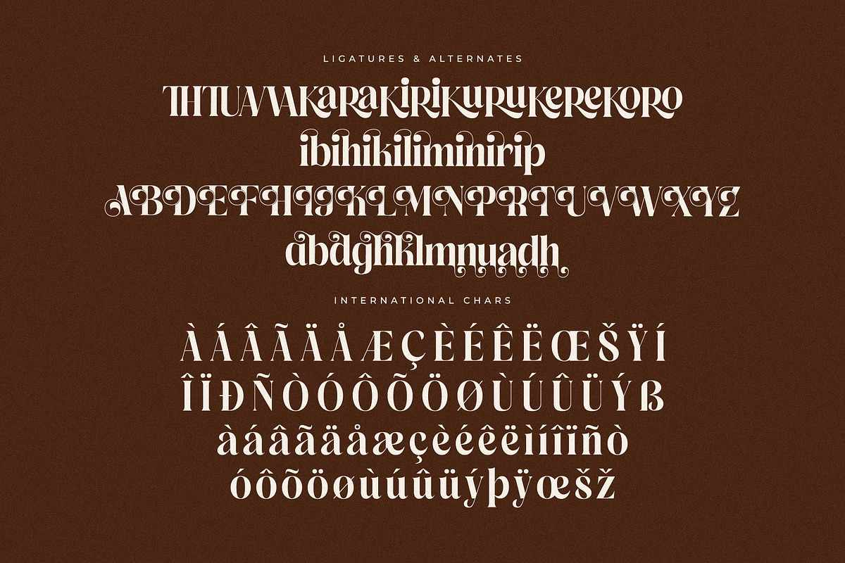 Copeland New Modern Serif Font, a Serif Font by Storytype Studio (Photo 14 of 15)