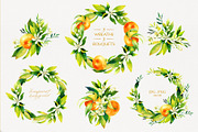 Tangerine Watercolor Collection, a Wallpaper Graphic by Natasha Koltsova (Thumbnail 5 of 7)