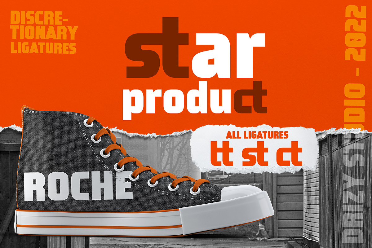 Roche, a Font by Drizy (Photo 4 of 10)