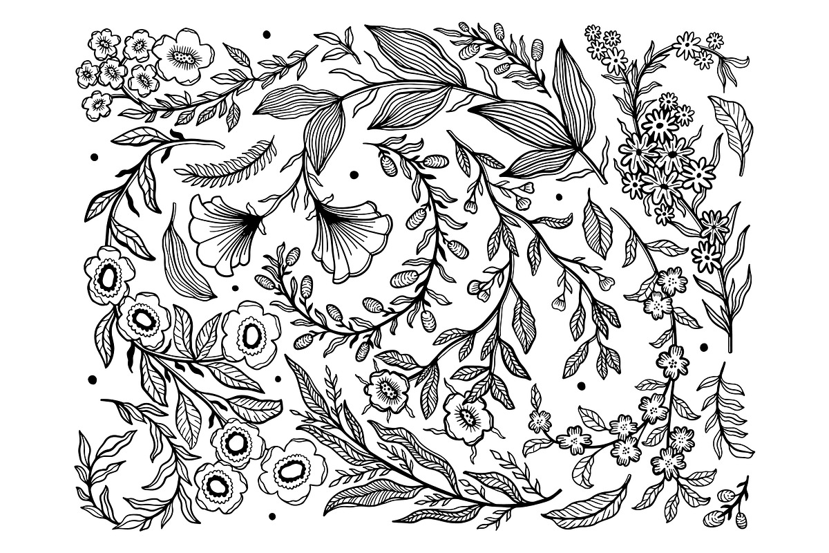 Floral engravings- botanical set, a Decorative Illustration by Moonflora (Photo 2 of 6)