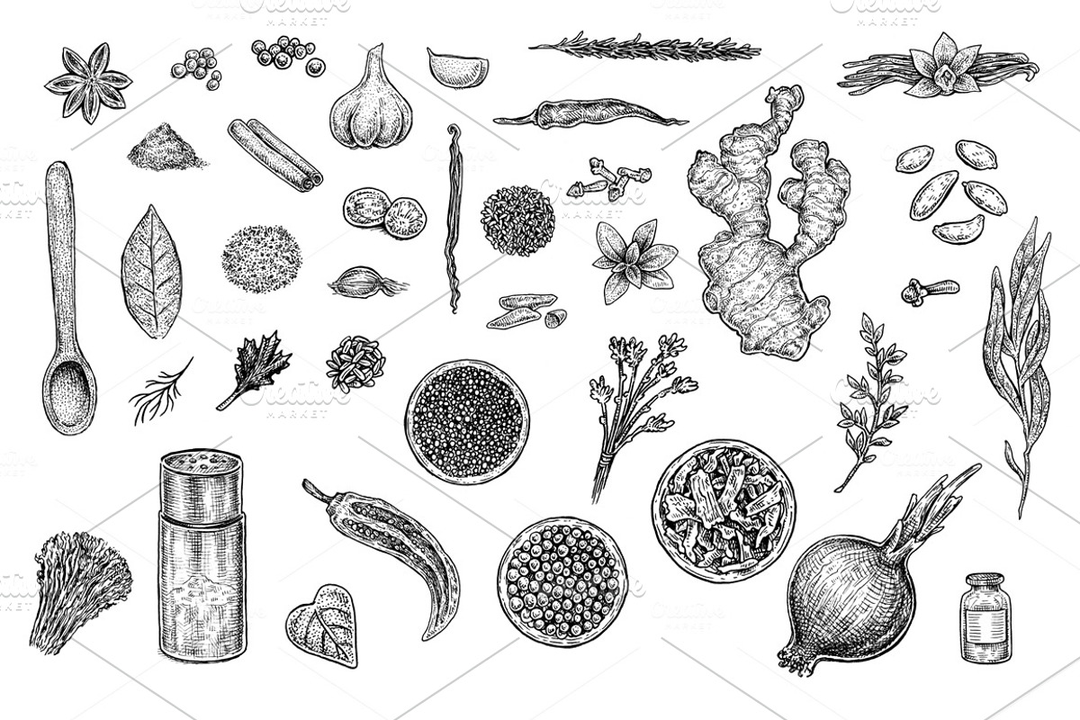 Herbs & Spices Collection, an Object Graphic by Eugenia Hauss Design (Photo 2 of 2)