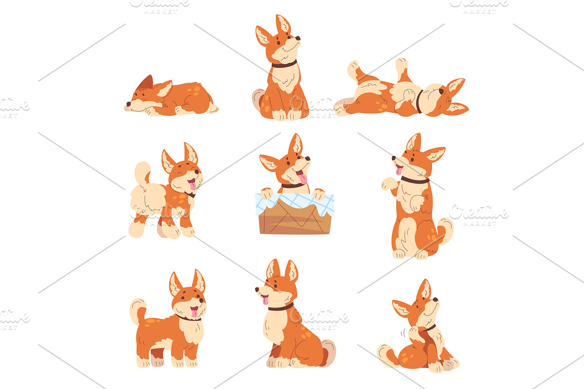 Corgi poses. Cartoon welsh puppy, an Animal Illustration by Stock-Smart-Start