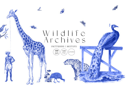Wildliife Archives
