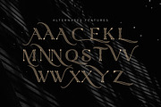 Qiunels - Elegant Luxury Serif, a Serif Font by Almarkhatype (Thumbnail 9 of 10)